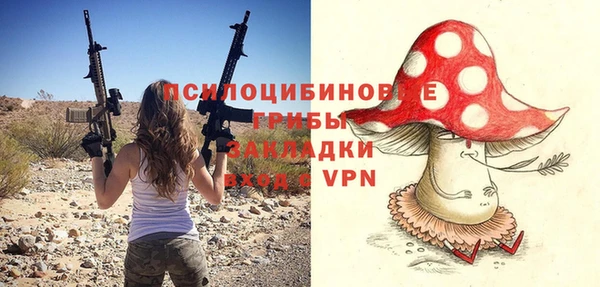 стафф Кинешма