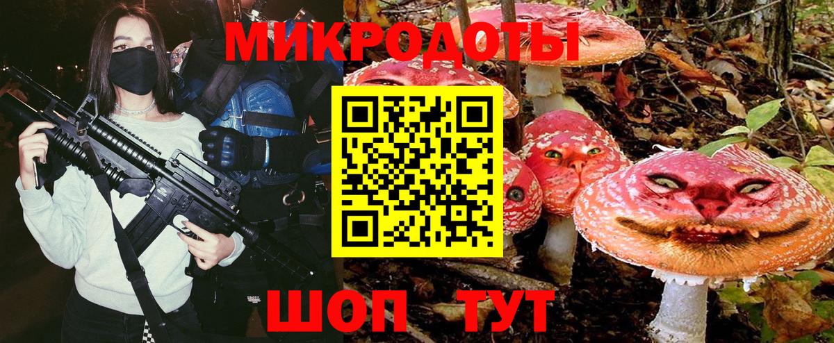 Псилоцибиновые грибы GOLDEN TEACHER Советская Гавань