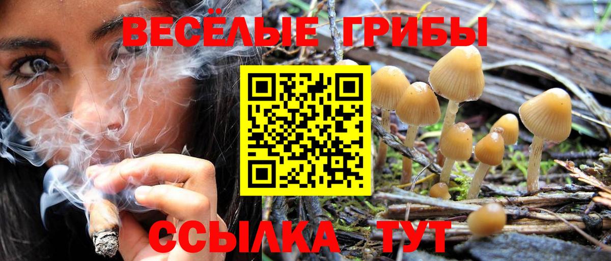 Галлюциногенные грибы мицелий  Вход с VPN  Псилоцибиновые грибы MAGIC MUSHROOMS  Советская Гавань 